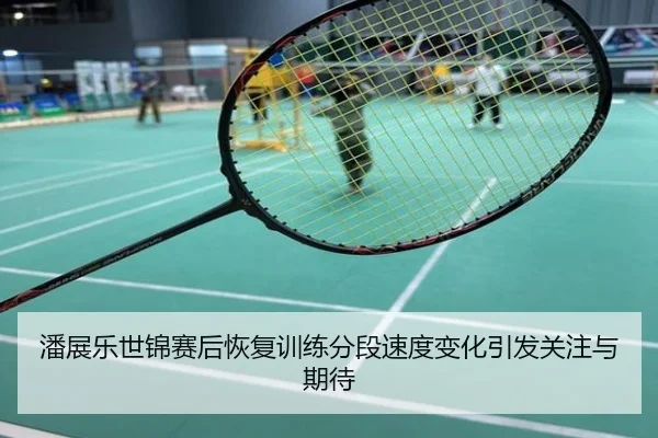 潘展乐世锦赛后恢复训练分段速度变化引发关注与期待