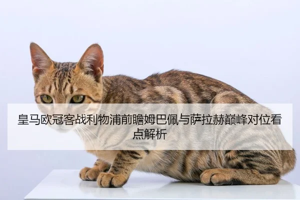 皇马欧冠客战利物浦前瞻姆巴佩与萨拉赫巅峰对位看点解析